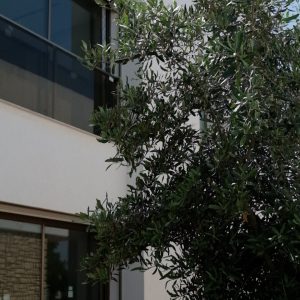 DJI_20250814102116_0327_D.00_00_10_16.Still004